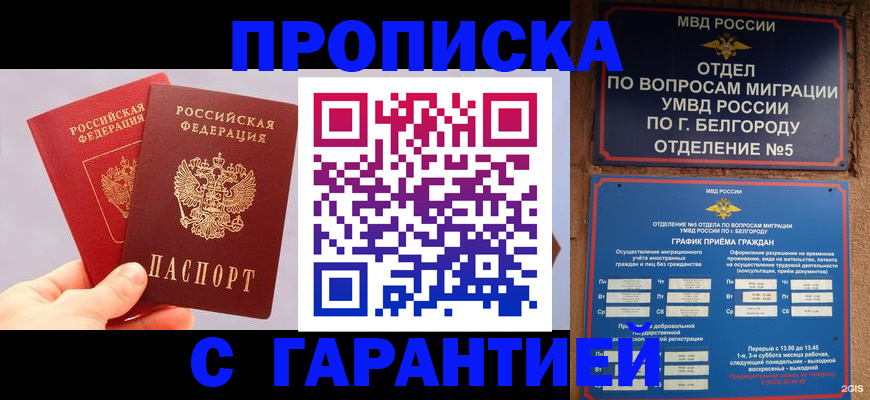 прописка 2025 в Благодарном